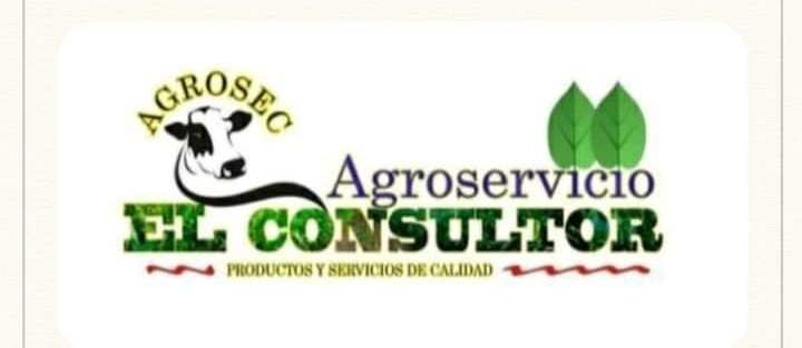 Empresa